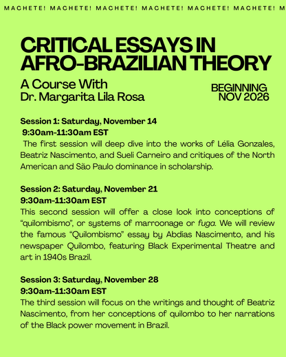 Second Option: Critical Essays in Afro-Brazilian Theory: Discounts Available!